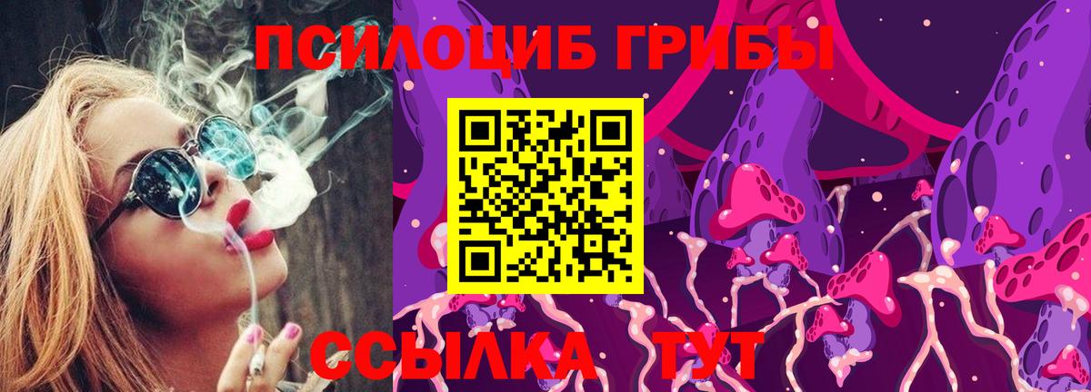 Псилоцибиновые грибы Psilocybine cubensis  Вход с VPN  где купить наркоту  Богородицк  Псилоцибиновые грибы мухоморы 